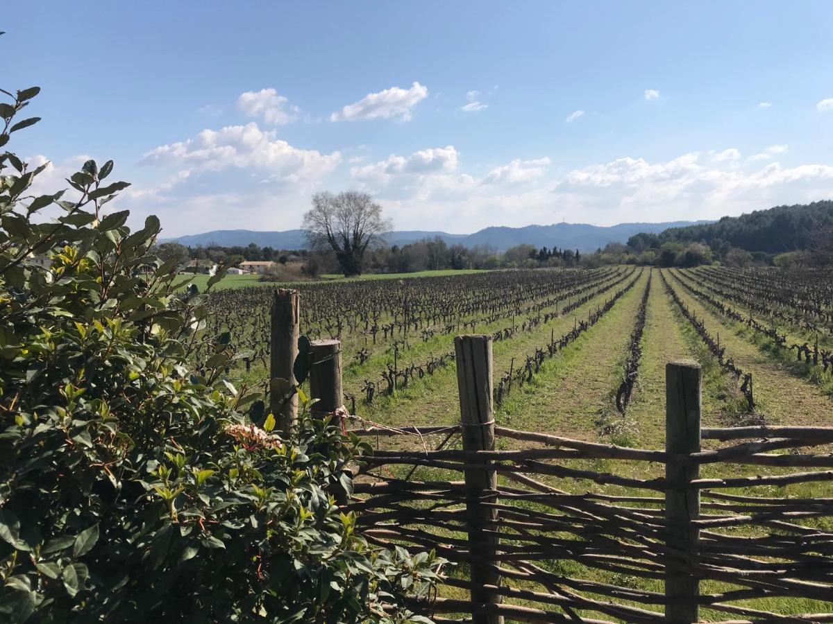 Chateau Saint-Pierre De Mejans Puyvert Eksteriør billede