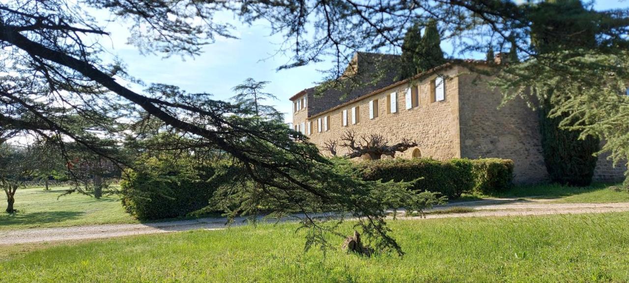 Chateau Saint-Pierre De Mejans Puyvert Eksteriør billede