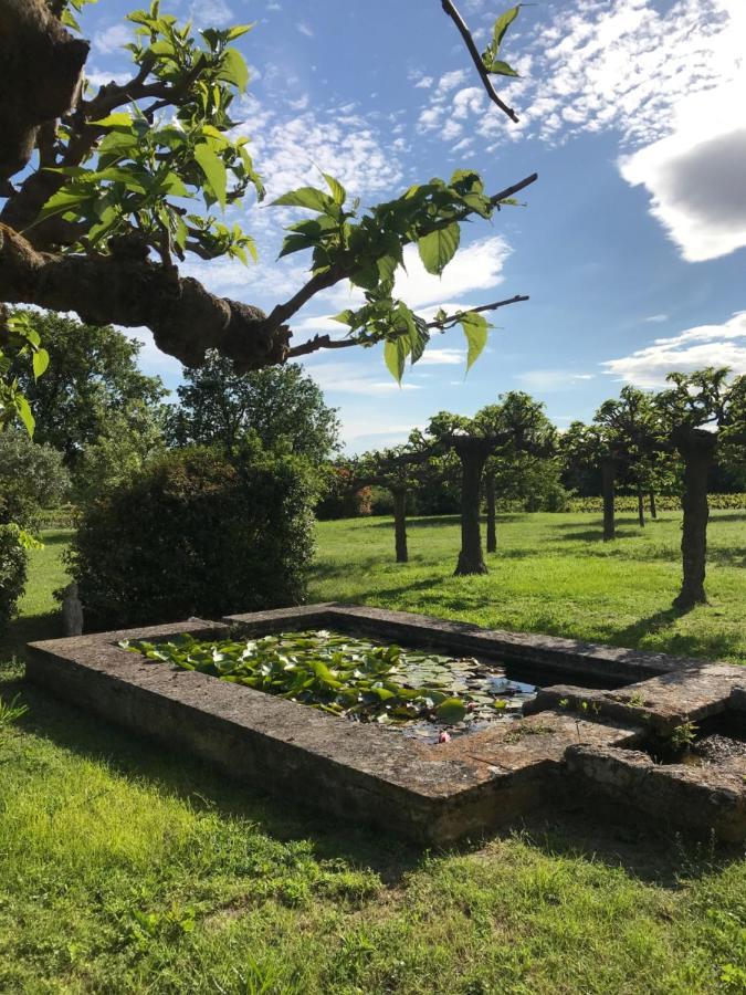 Chateau Saint-Pierre De Mejans Puyvert Eksteriør billede