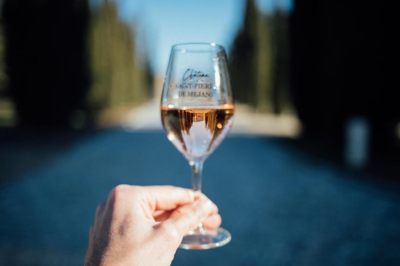 Chateau Saint-Pierre De Mejans Puyvert Eksteriør billede