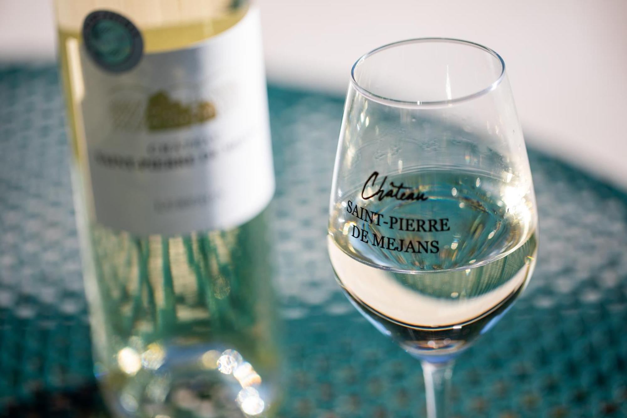 Chateau Saint-Pierre De Mejans Puyvert Eksteriør billede